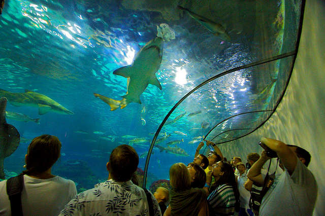 Aquarium